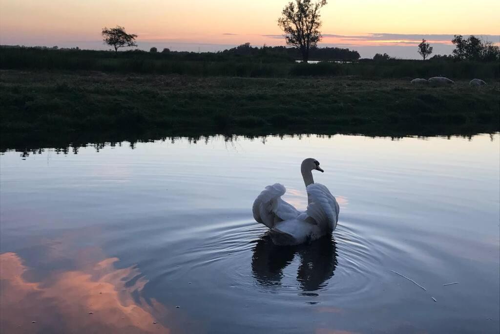 Romantic Dutch Hideaway Jisp Buitenkant foto