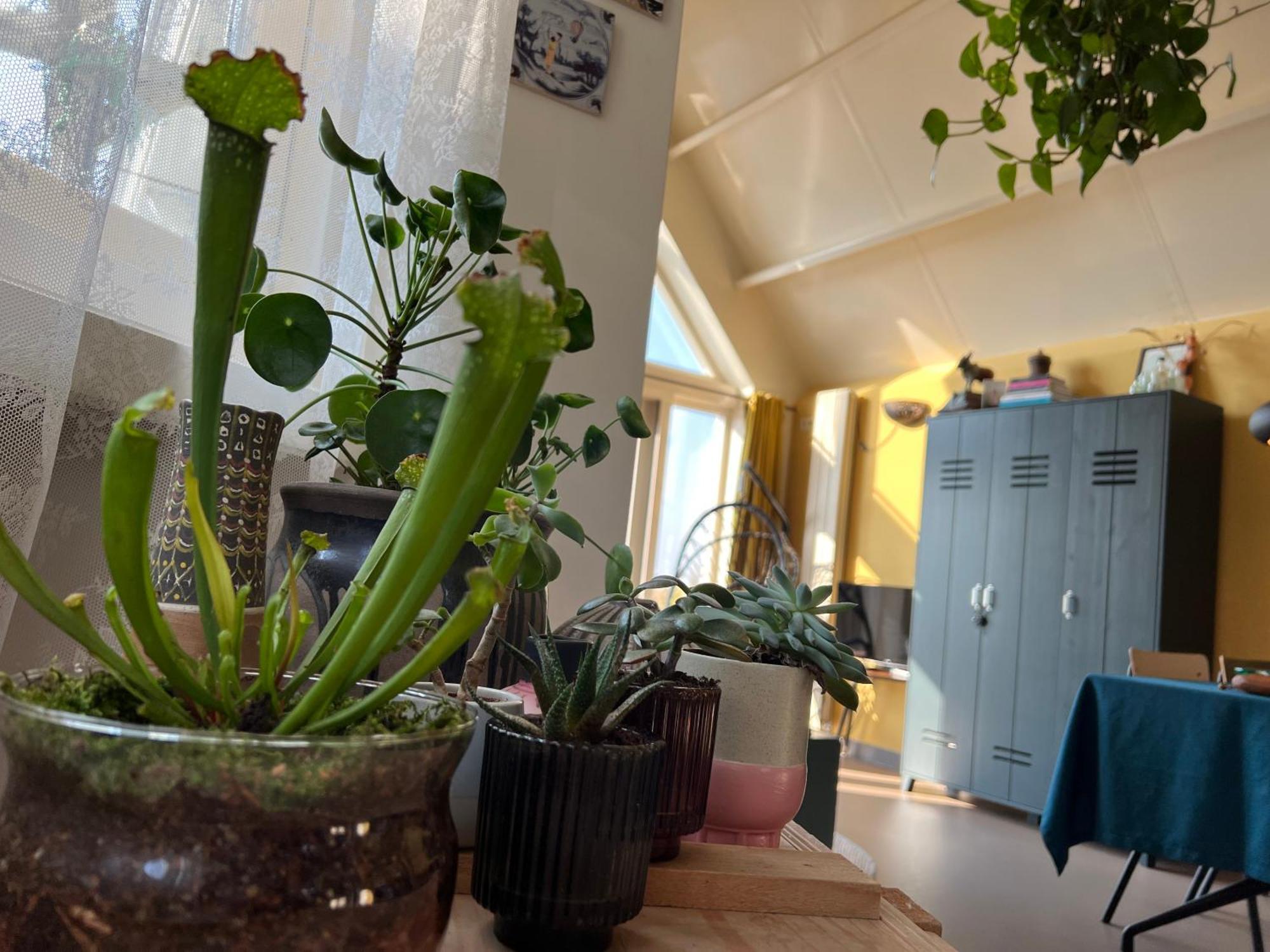 Romantic Dutch Hideaway Jisp Buitenkant foto